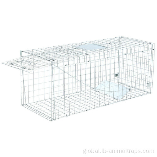 Humane Collapsible Dog/fox Trap Cage Trap Anti-rusty Reusable animal trap cage Factory